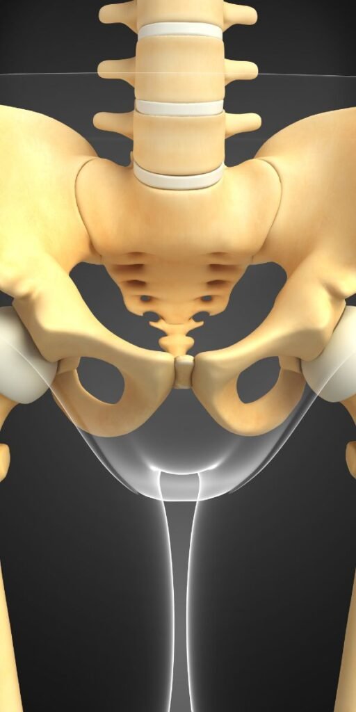 Pelvic Floor Muscular Dysfunction
